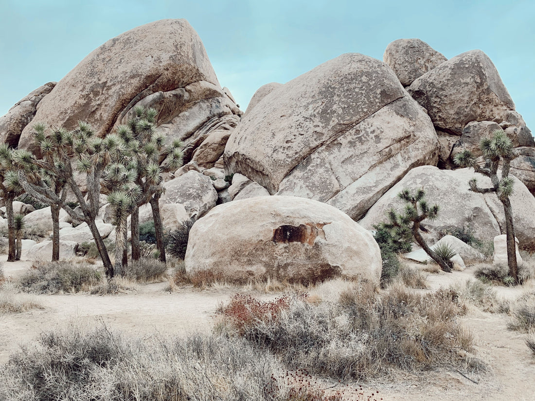 Joshua Tree National Park Rocks 