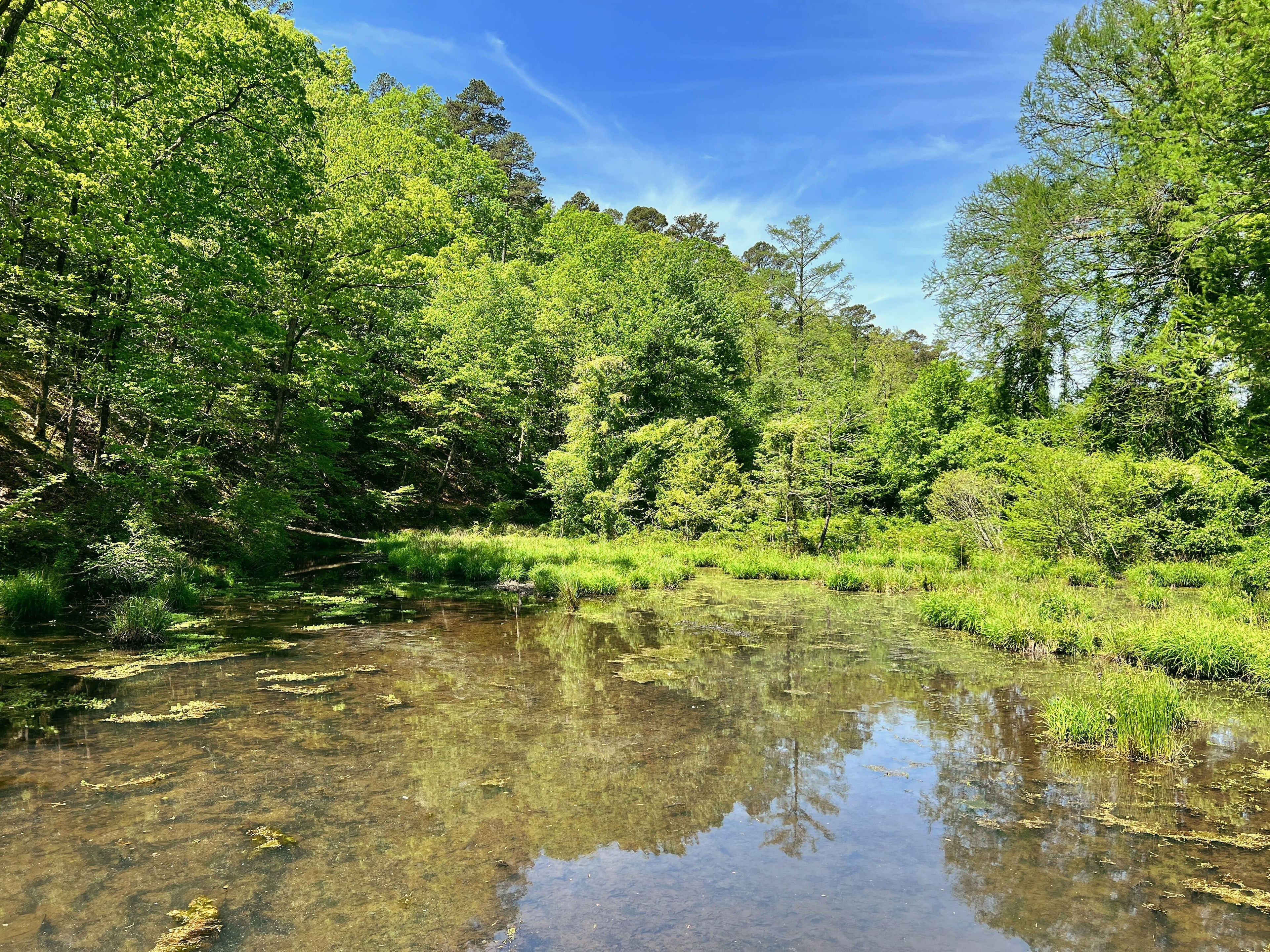 Hot Springs National Park: Thermal Waters and Trails
