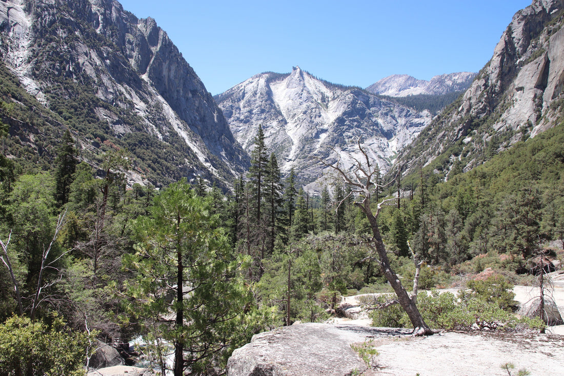 Explore Kings Canyon National Park’s Wilderness Beauty
