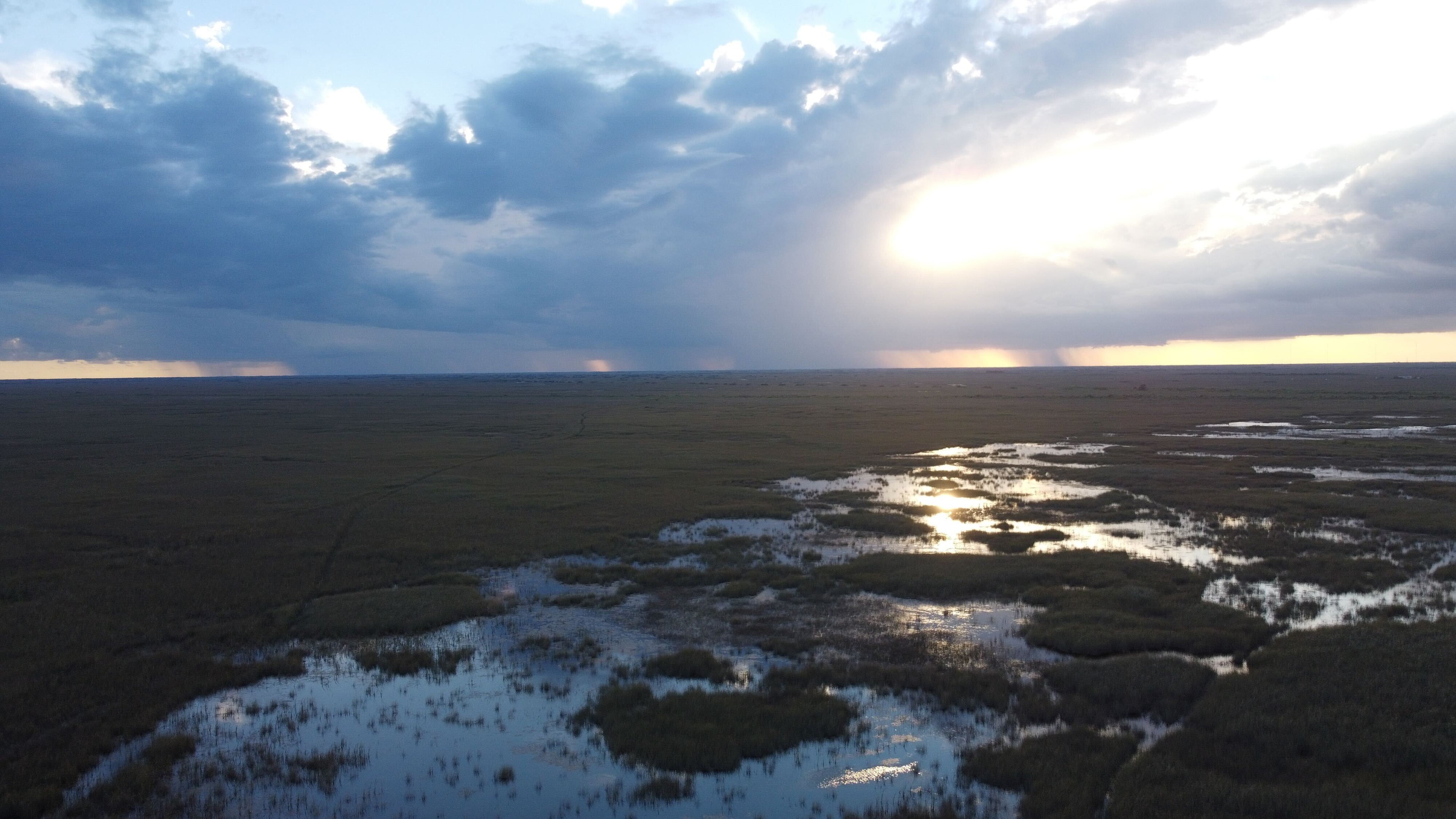 Explore Everglades National Park’s Subtropical Beauty