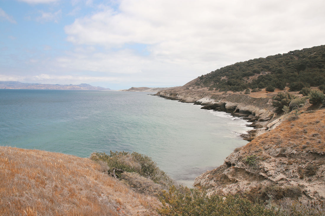Channel Island National Park: Isolation & Conservation