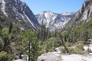 Kings Canyon: The Nation's 3rd National Park (Kind Of)