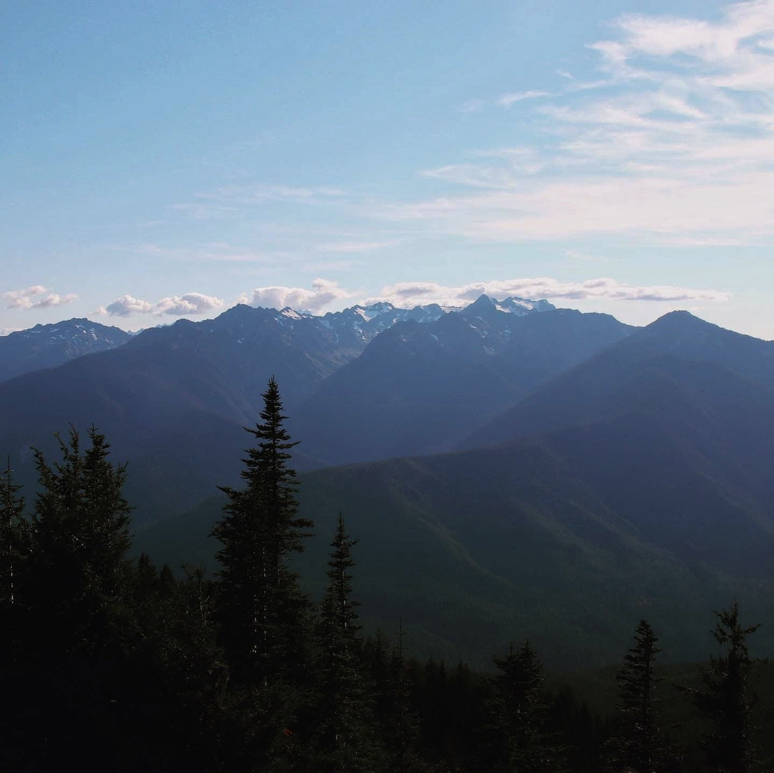 Explore Olympic National Park’s Wild Beauty With Us!
