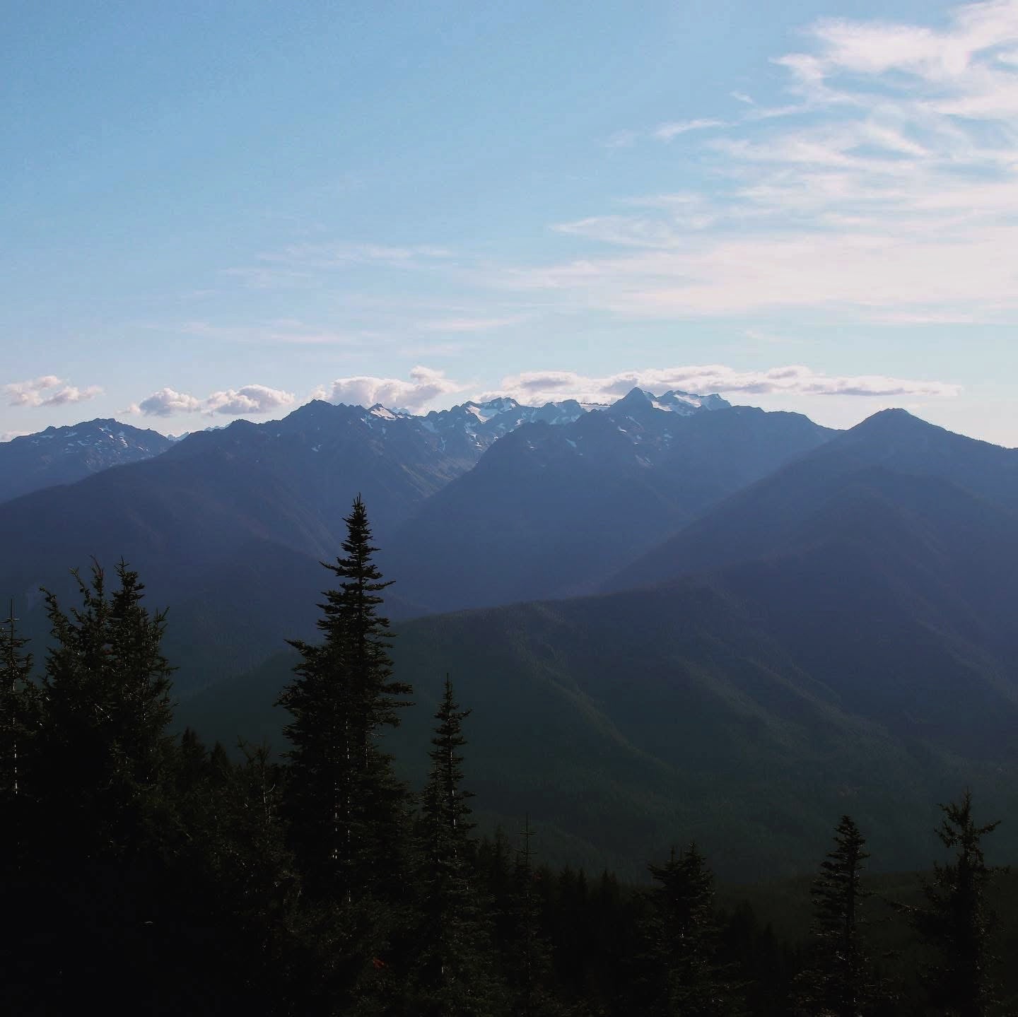 Explore Olympic National Park’s Wild Beauty With Us!