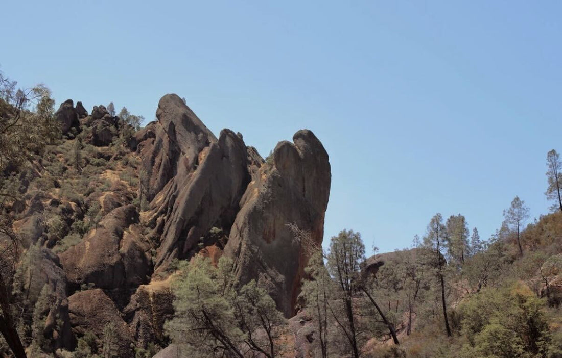 Pinnacles National Park Guide: Condors, Caves & History