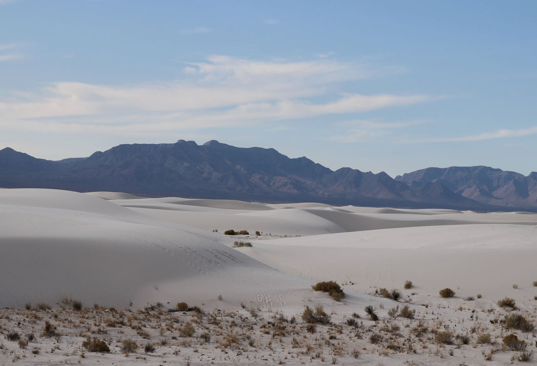 White Sands National Park Guide: Beauty and Conservation