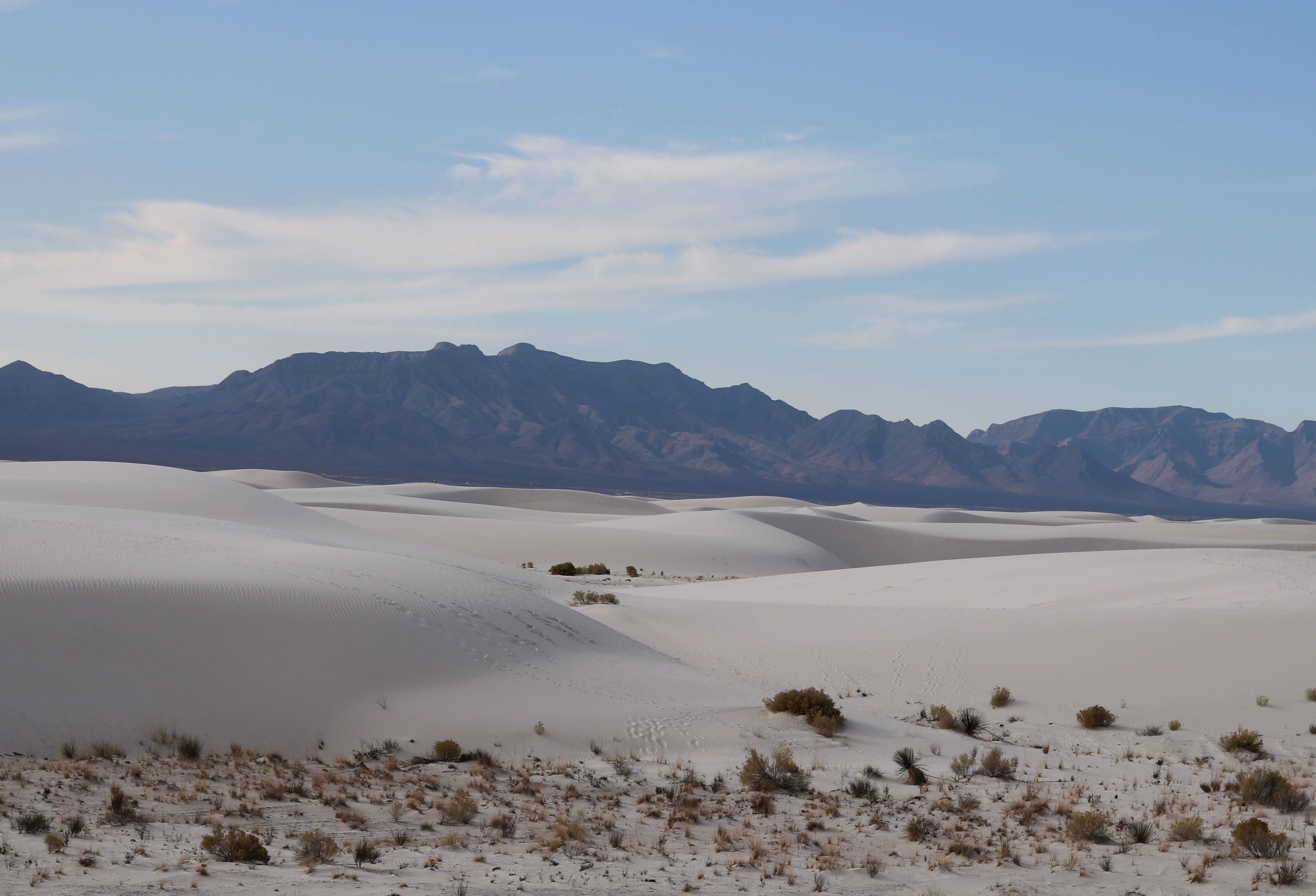 White Sands National Park Guide: Beauty and Conservation