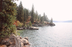 Coeur D'Alene National Forest