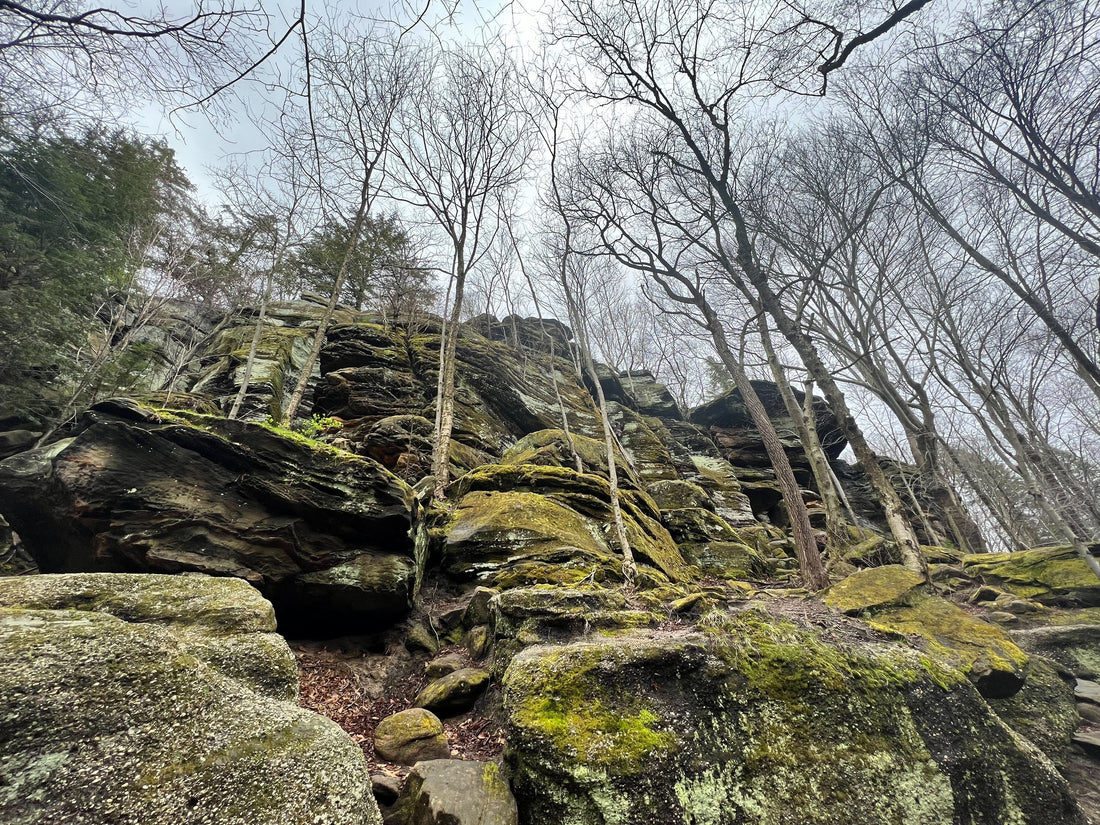 Explore Cuyahoga Valley National Park’s Scenic Trails