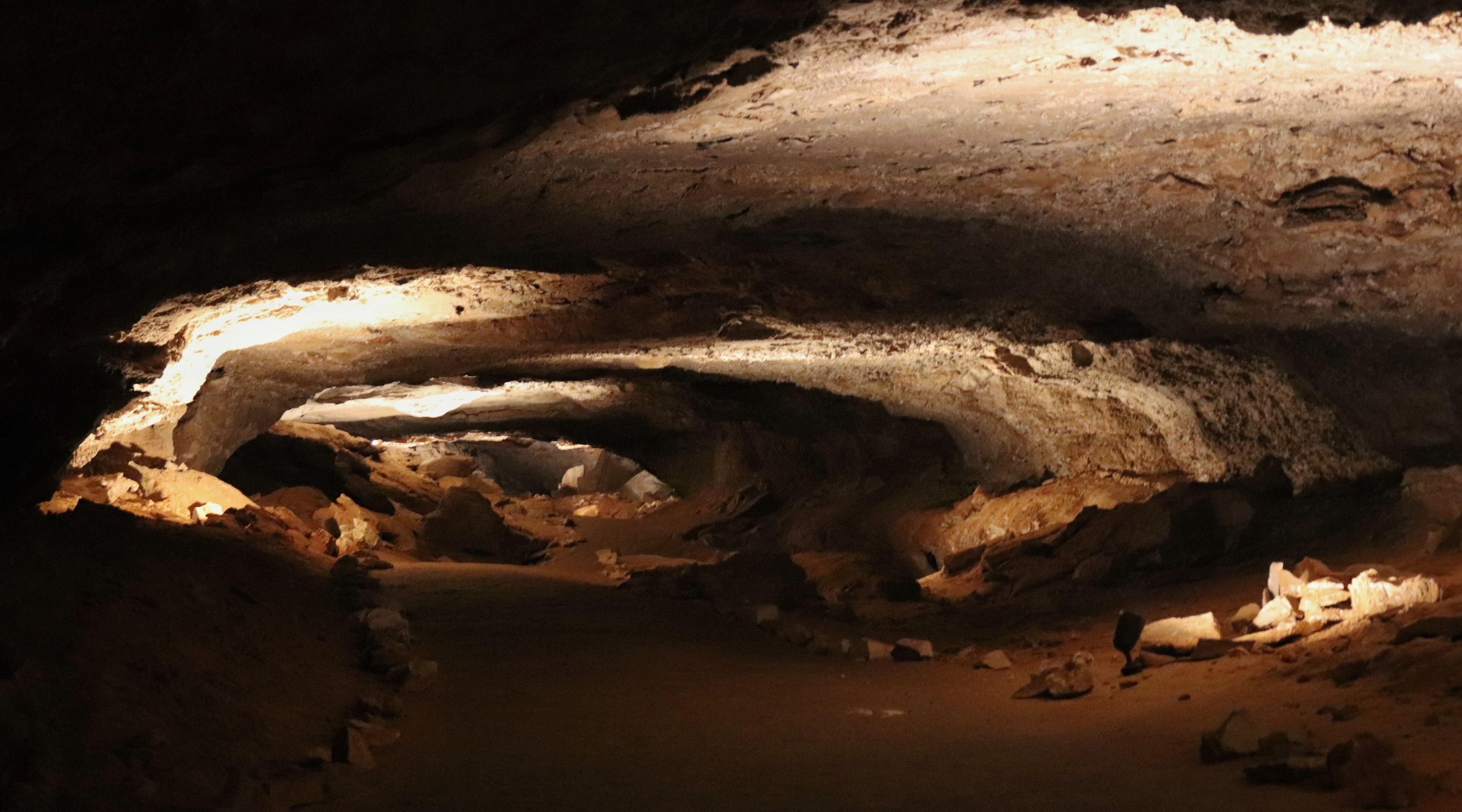 Mammoth Cave National Park Guide: Nature and Geology