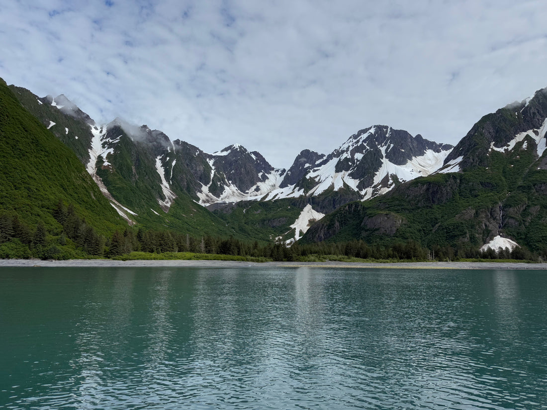Kenai Fjords National Park Guide: Ice and Ocean