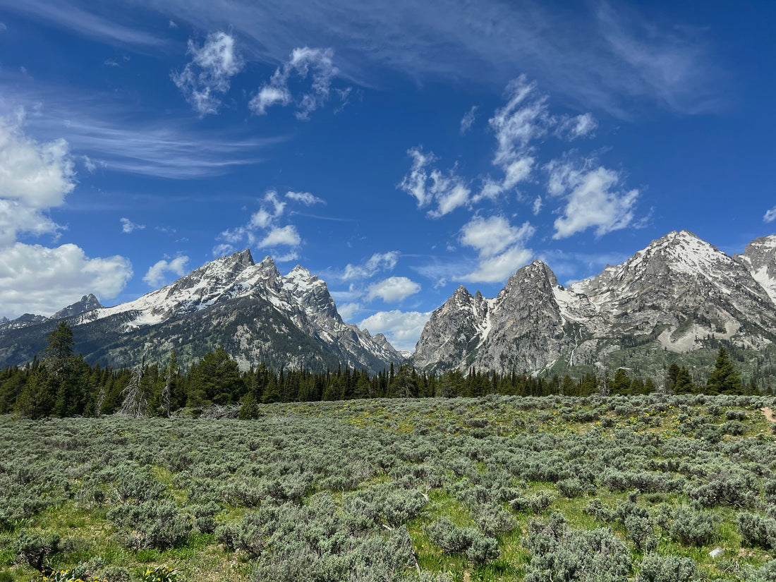 Grand Teton National Park Guide: Nature and Scenic Views