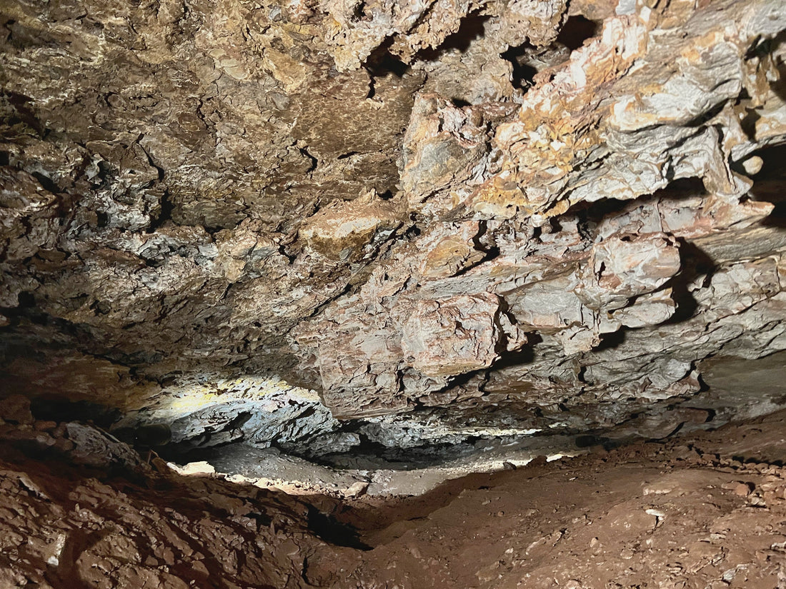 Wind Cave National Park: Prairie and Underground Wonder