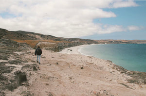 A Look Into Channel Islands National Park