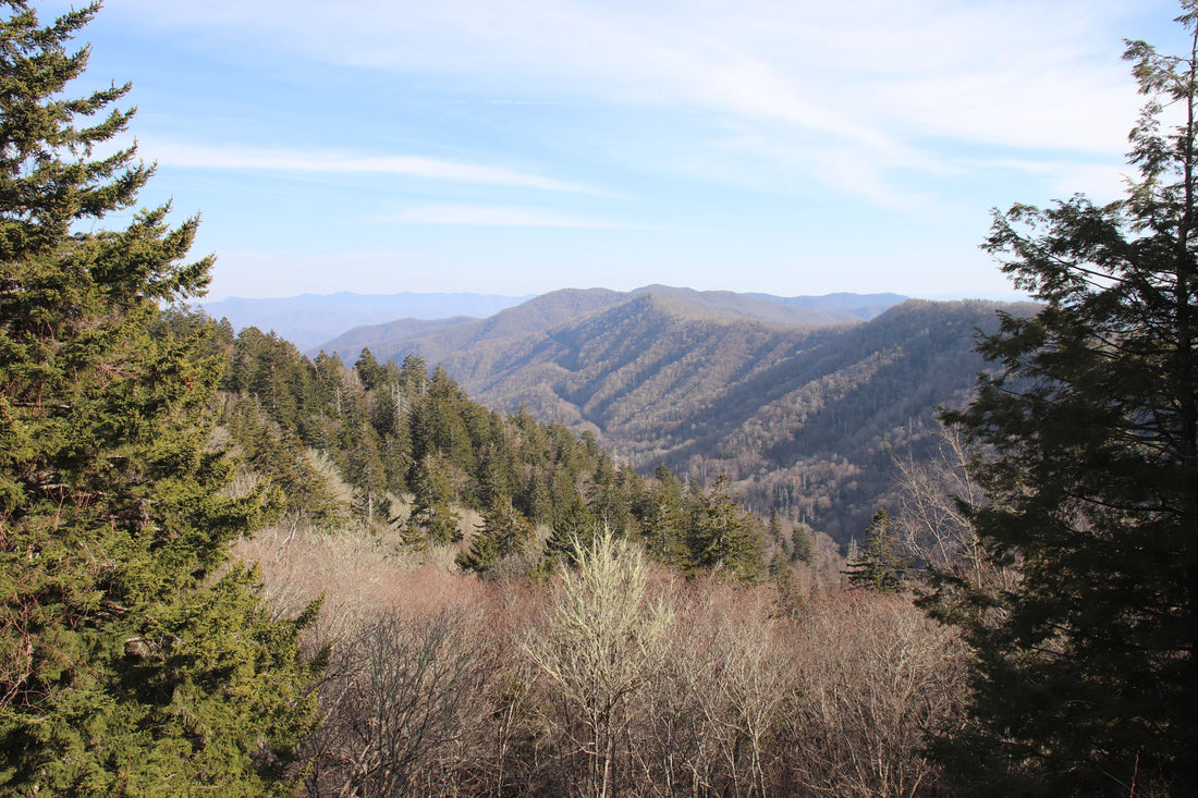 Explore Great Smoky Mountains National Park’s Beauty
