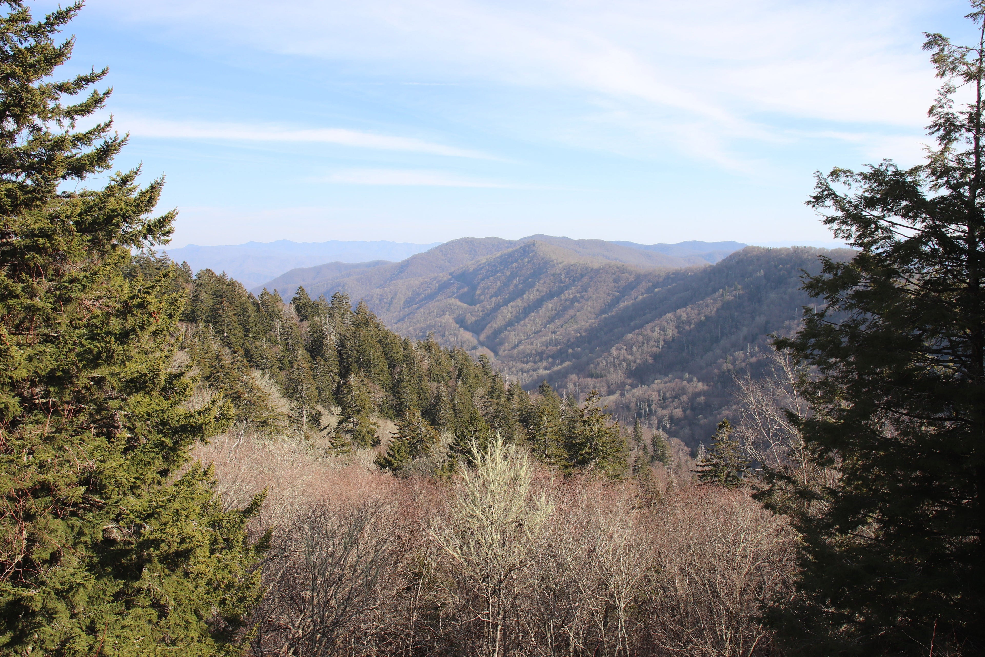 Explore Great Smoky Mountains National Park’s Beauty