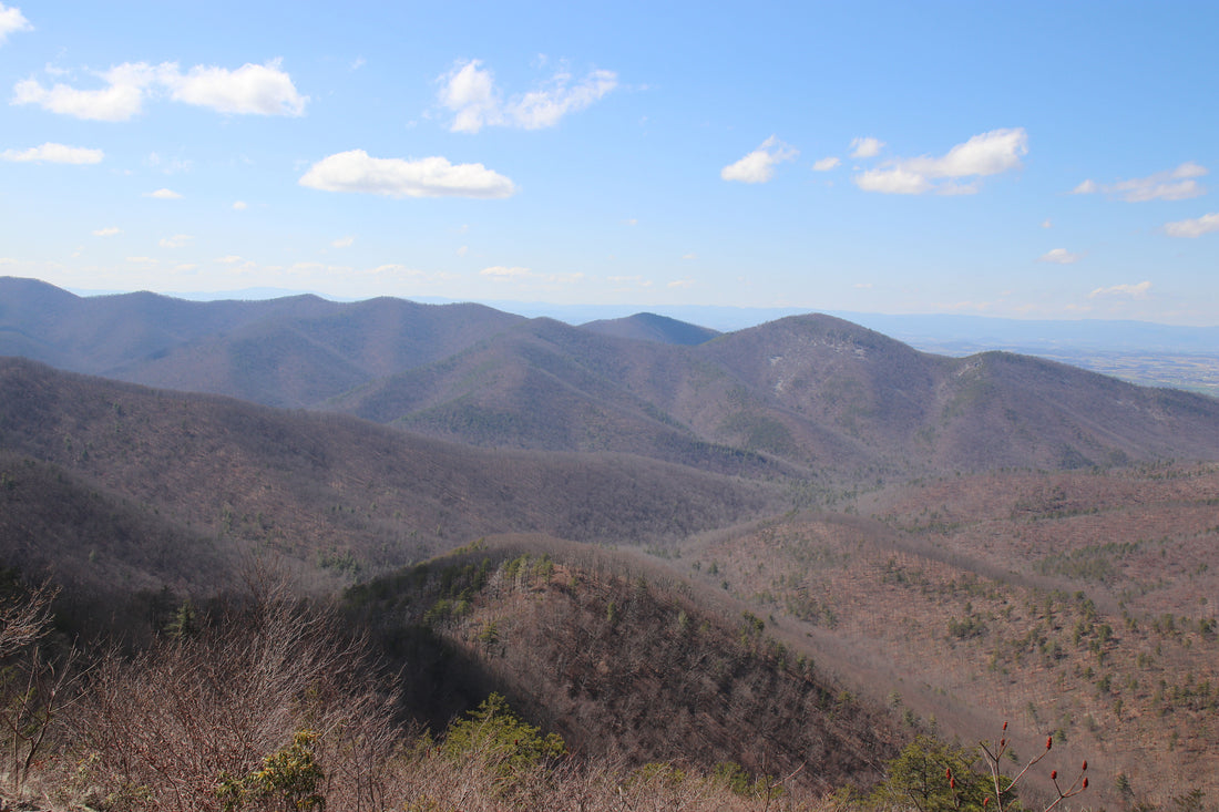 Shenandoah National Park: Mountains and Scenic Trails